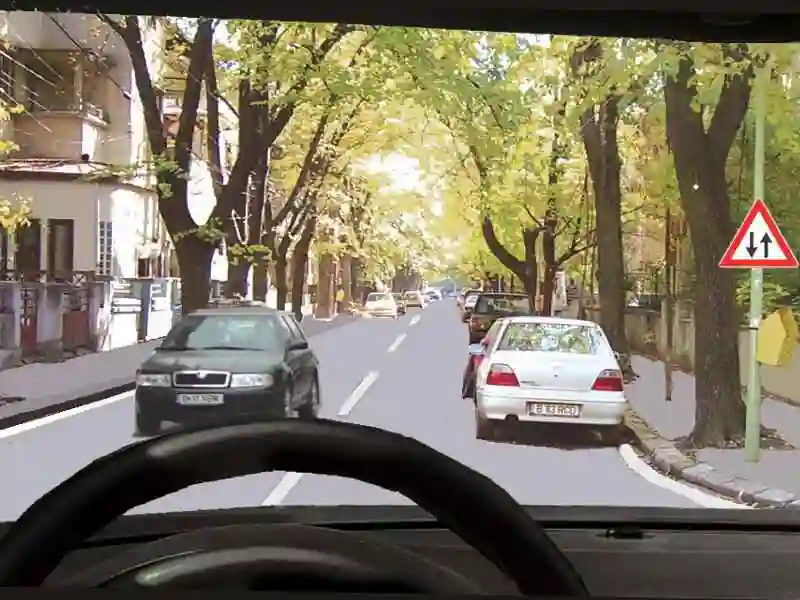 Indicatorul din imagine vă avertizează că: