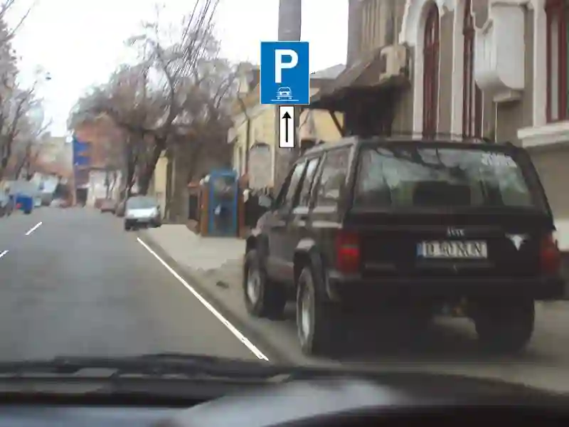 Autoturismul din imagine a parcat regulamentar?